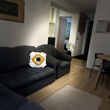 Roman Residence Apartment Borşa Zewnętrze zdjęcie