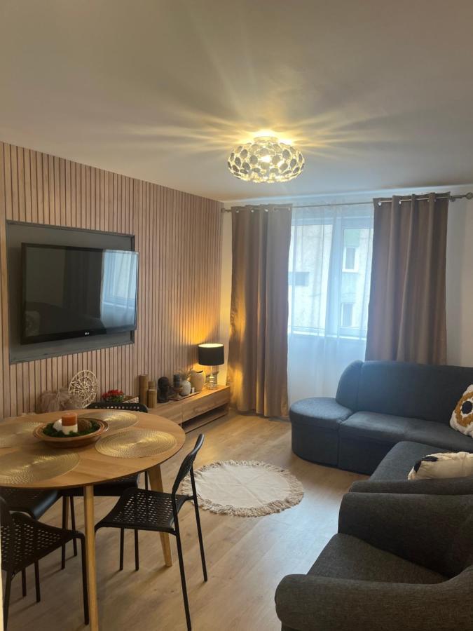 Roman Residence Apartment Borşa Zewnętrze zdjęcie
