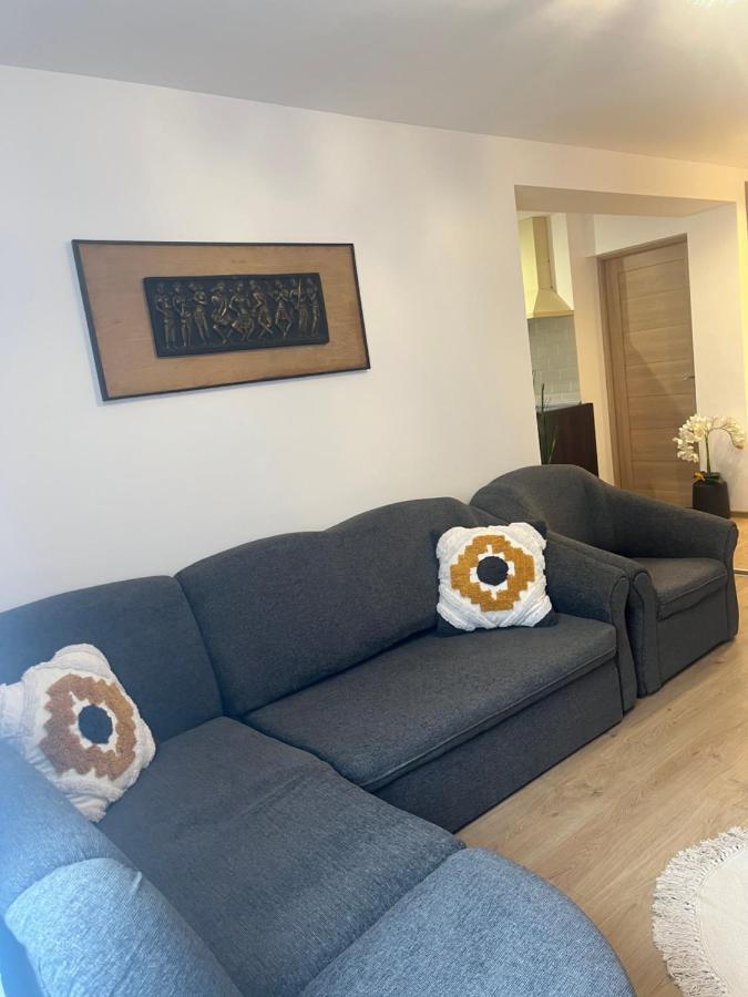 Roman Residence Apartment Borşa Zewnętrze zdjęcie