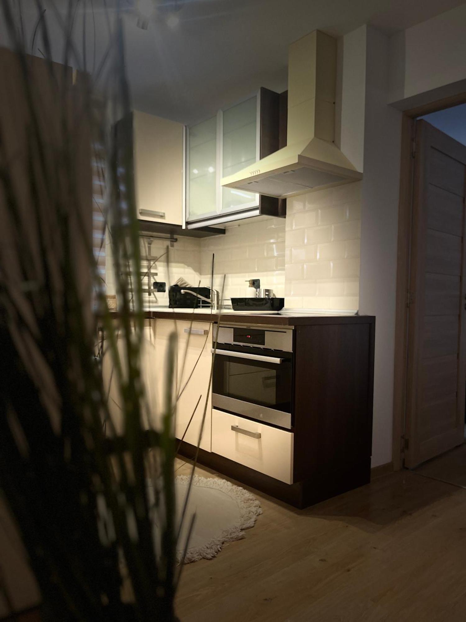 Roman Residence Apartment Borşa Zewnętrze zdjęcie