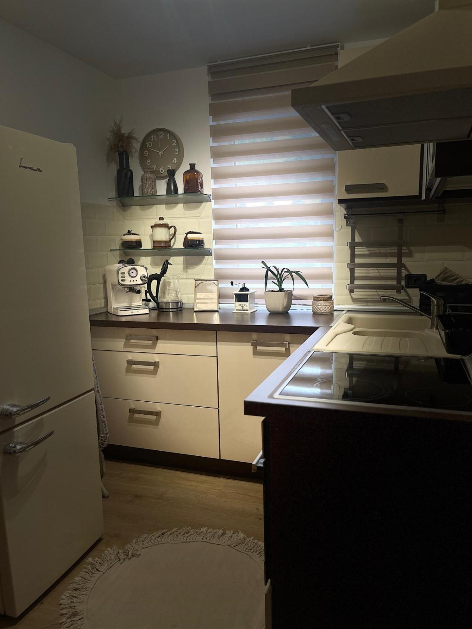 Roman Residence Apartment Borşa Zewnętrze zdjęcie