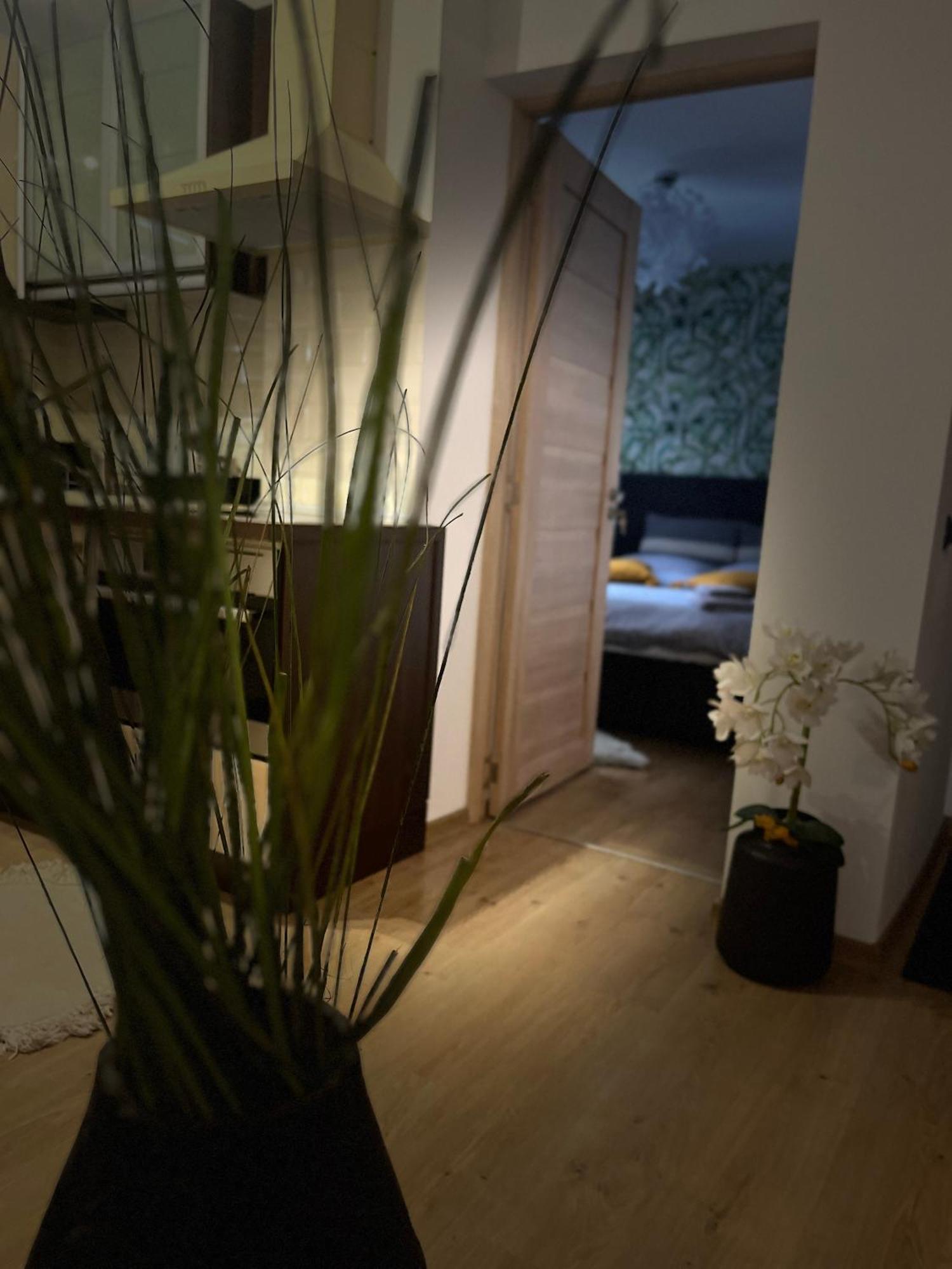 Roman Residence Apartment Borşa Zewnętrze zdjęcie