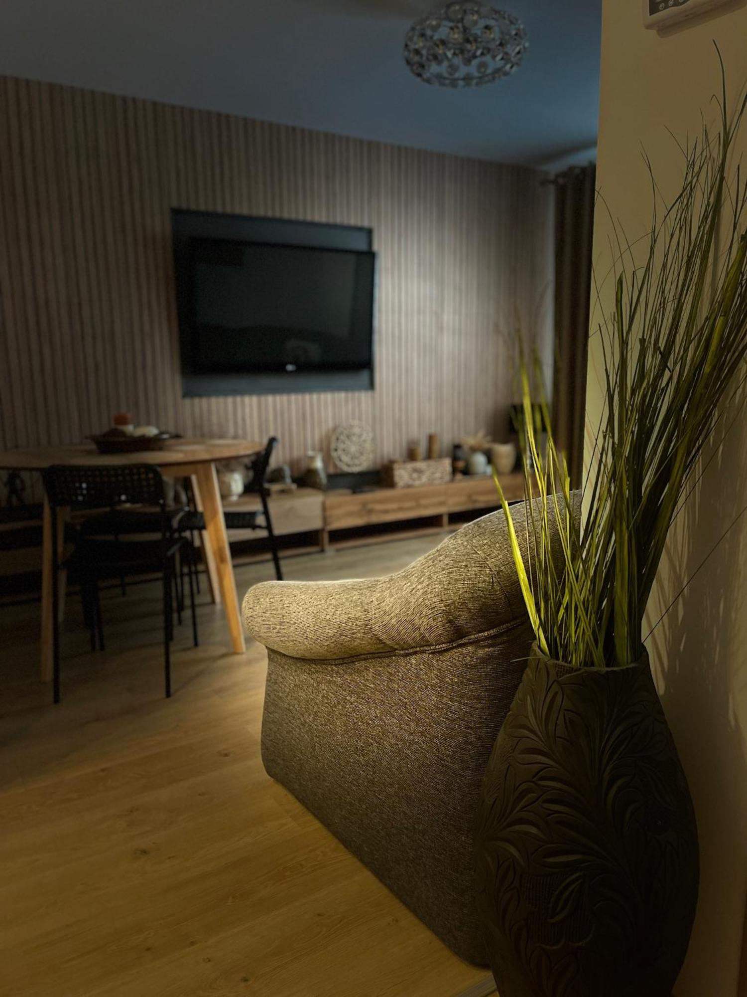 Roman Residence Apartment Borşa Zewnętrze zdjęcie