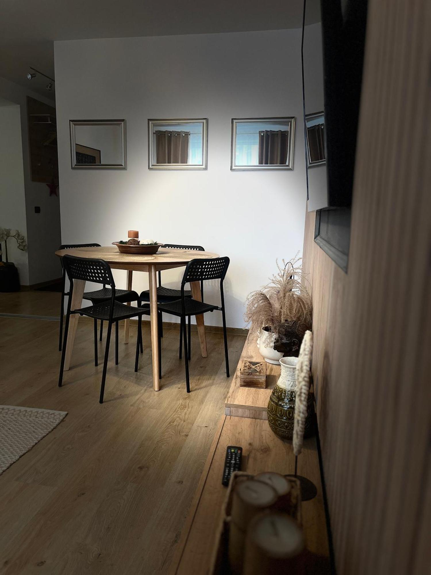 Roman Residence Apartment Borşa Zewnętrze zdjęcie